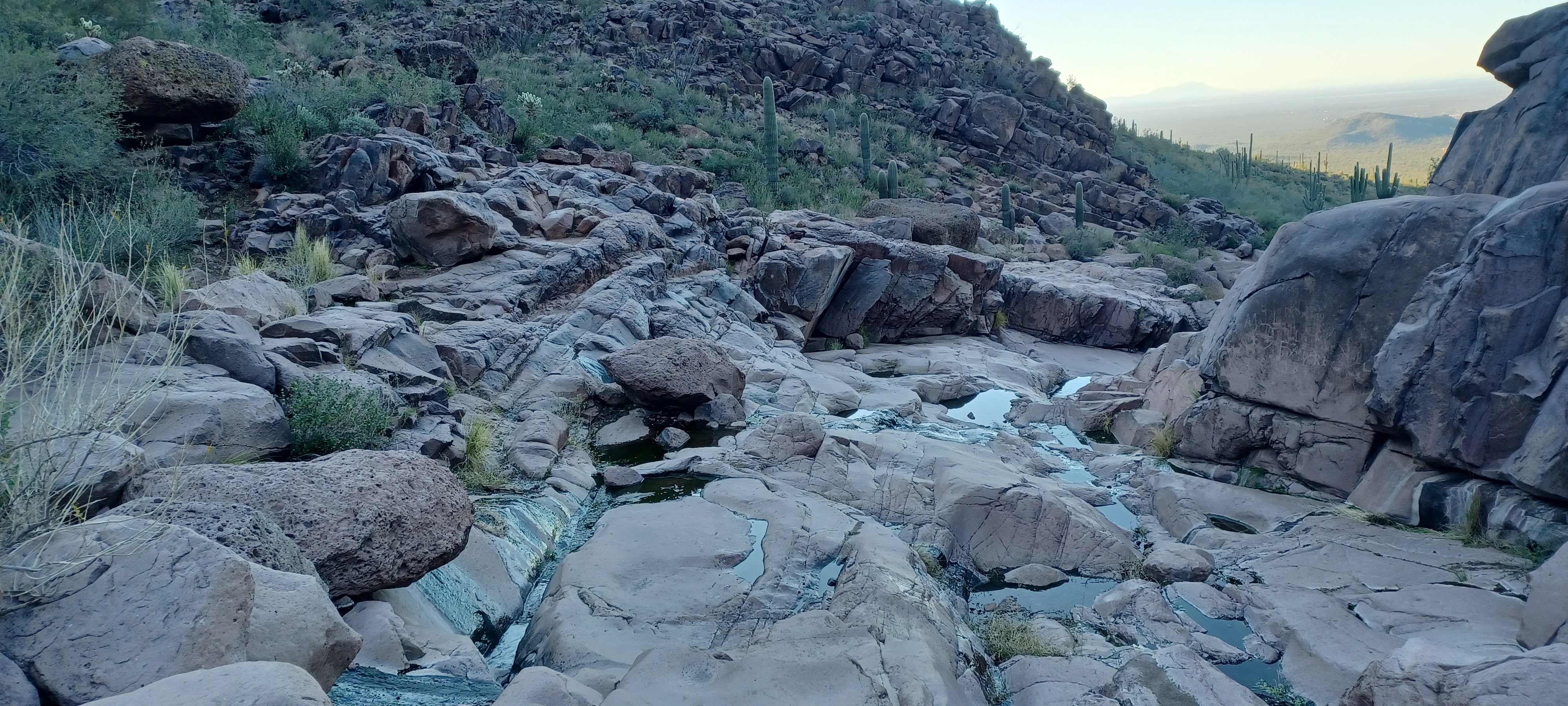Hieroglyphic Trail
