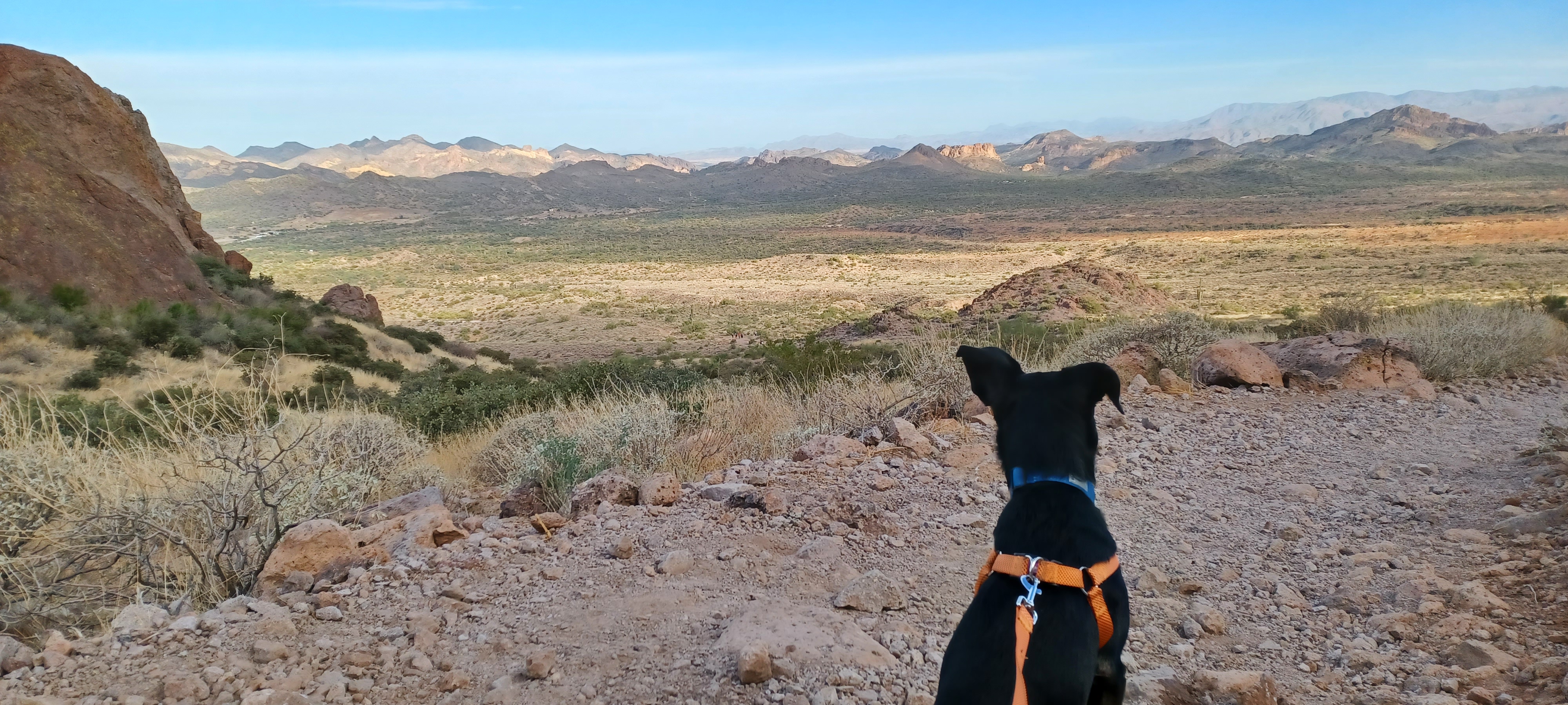 Treasure Loop Trail