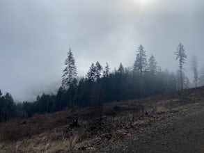 Lewisburg Saddle Upper Horse Trail Loop