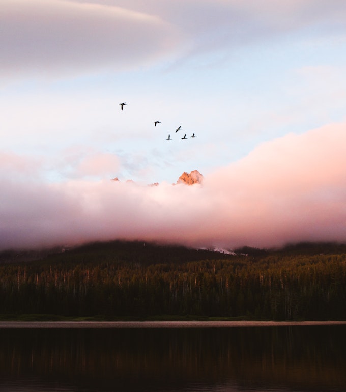 Pink clouds descend on the mountain and forest as a flock of birds fly by