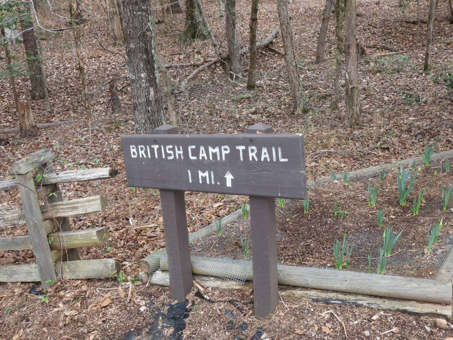 British Camp Trail