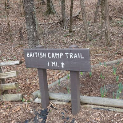 British Camp Trail