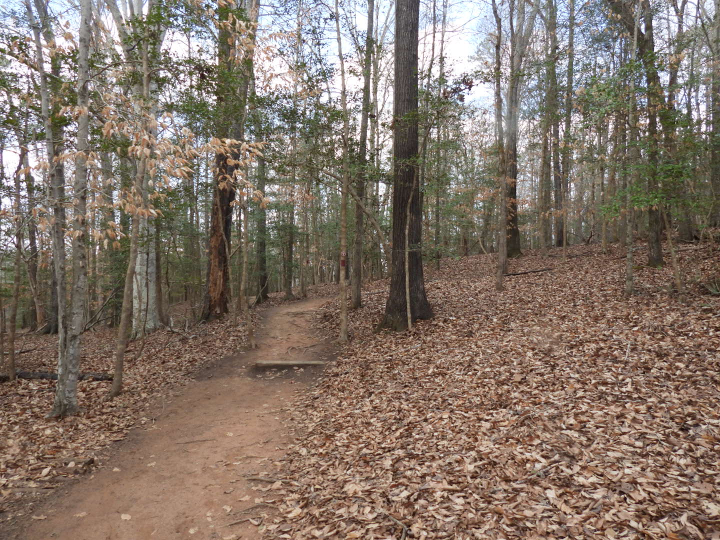British Camp Trail