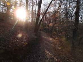 Cedar Falls Park Trail