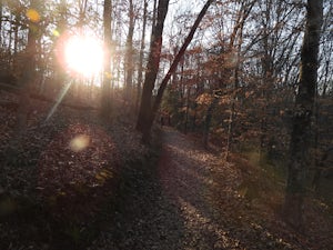 Cedar Falls Park Trail