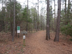 Lake Conestee Nature Park Loop