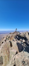 Organ Needle from Baylor Canyon Road