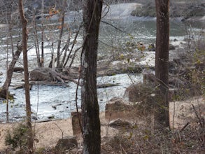 Interpretive Jo Peeler Nature Trail