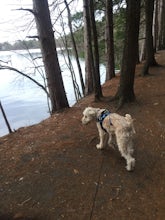 Haggetts Rail Trail to Haggetts Pond