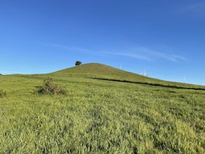 Southern Lime Ridge Loop