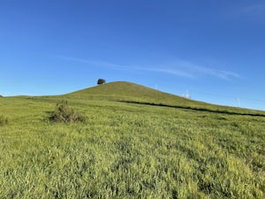 Southern Lime Ridge Loop