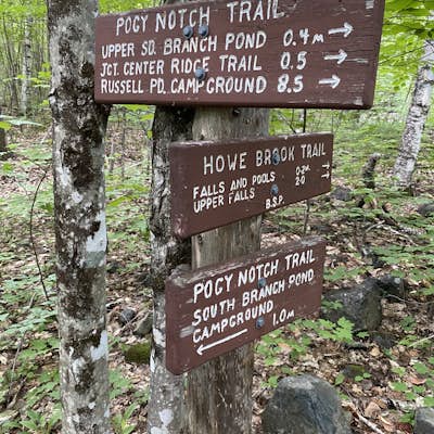 North Traveler Mountain Trail to Pogy Notch Trail Loop