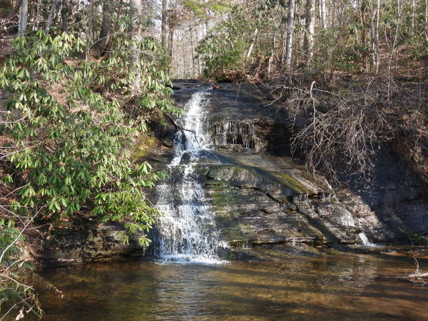 Wildcat Wayside Nature Trail