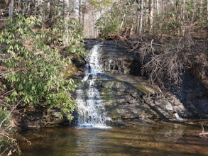 Wildcat Wayside Nature Trail