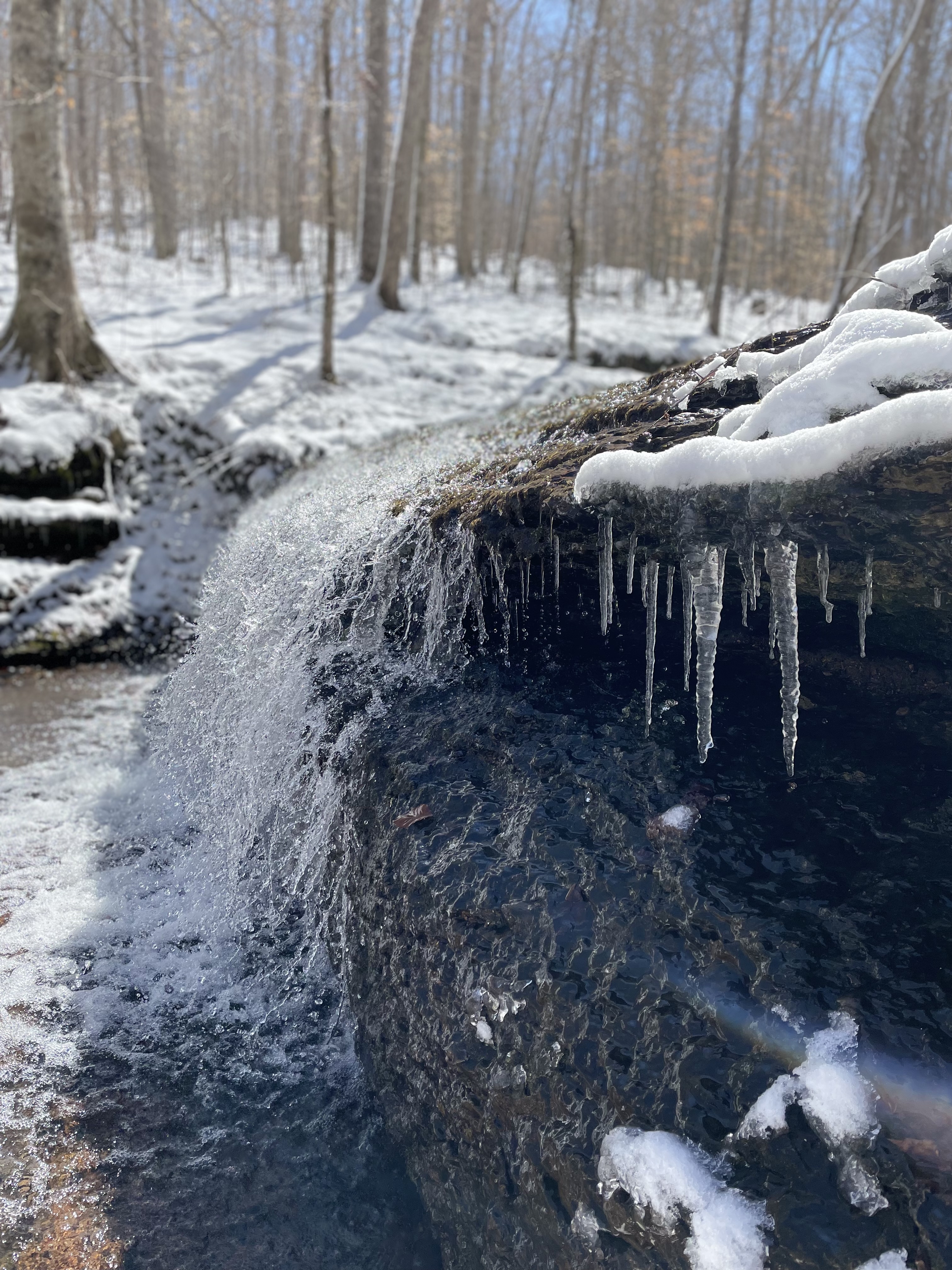 Stillhouse Hollow Falls