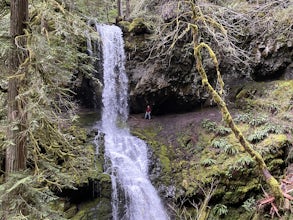 Trestle Creek Falls Loop