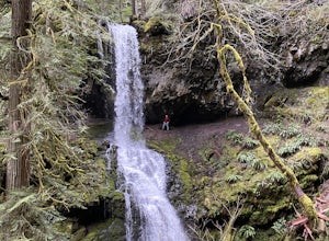 Trestle Creek Falls Loop