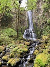 Kentucky Falls Trail