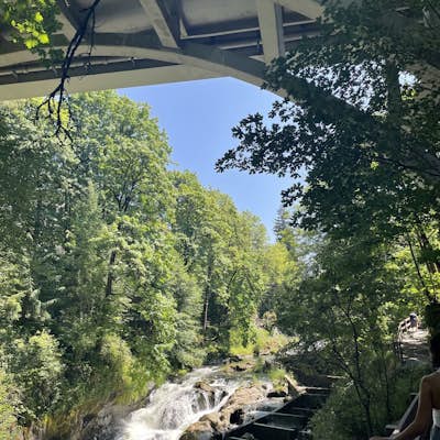 Tumwater Falls Trail