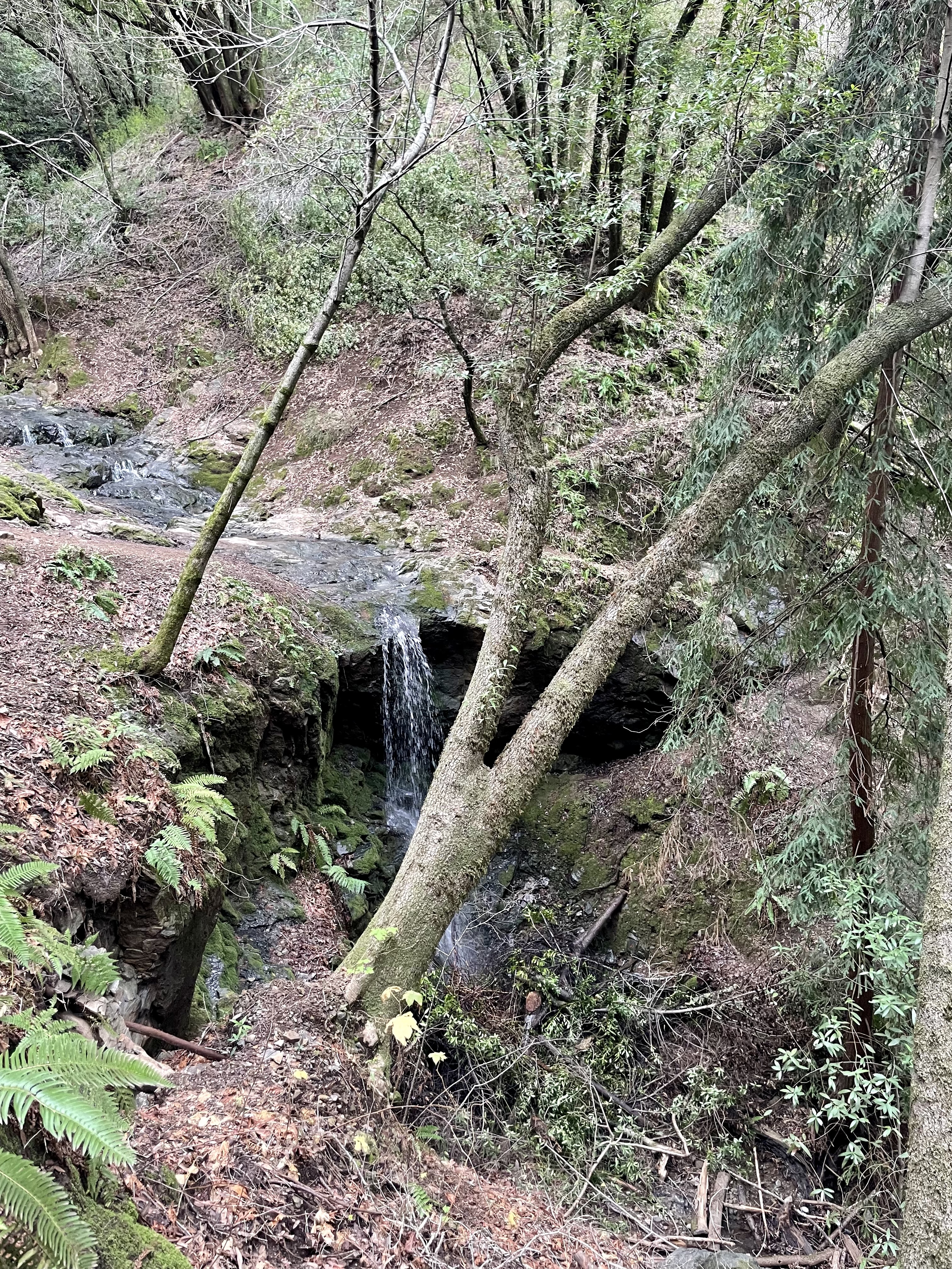 Dawn Falls Trail