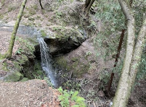 Dawn Falls Trail Loop