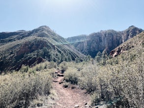 Wilson Mountain Trail