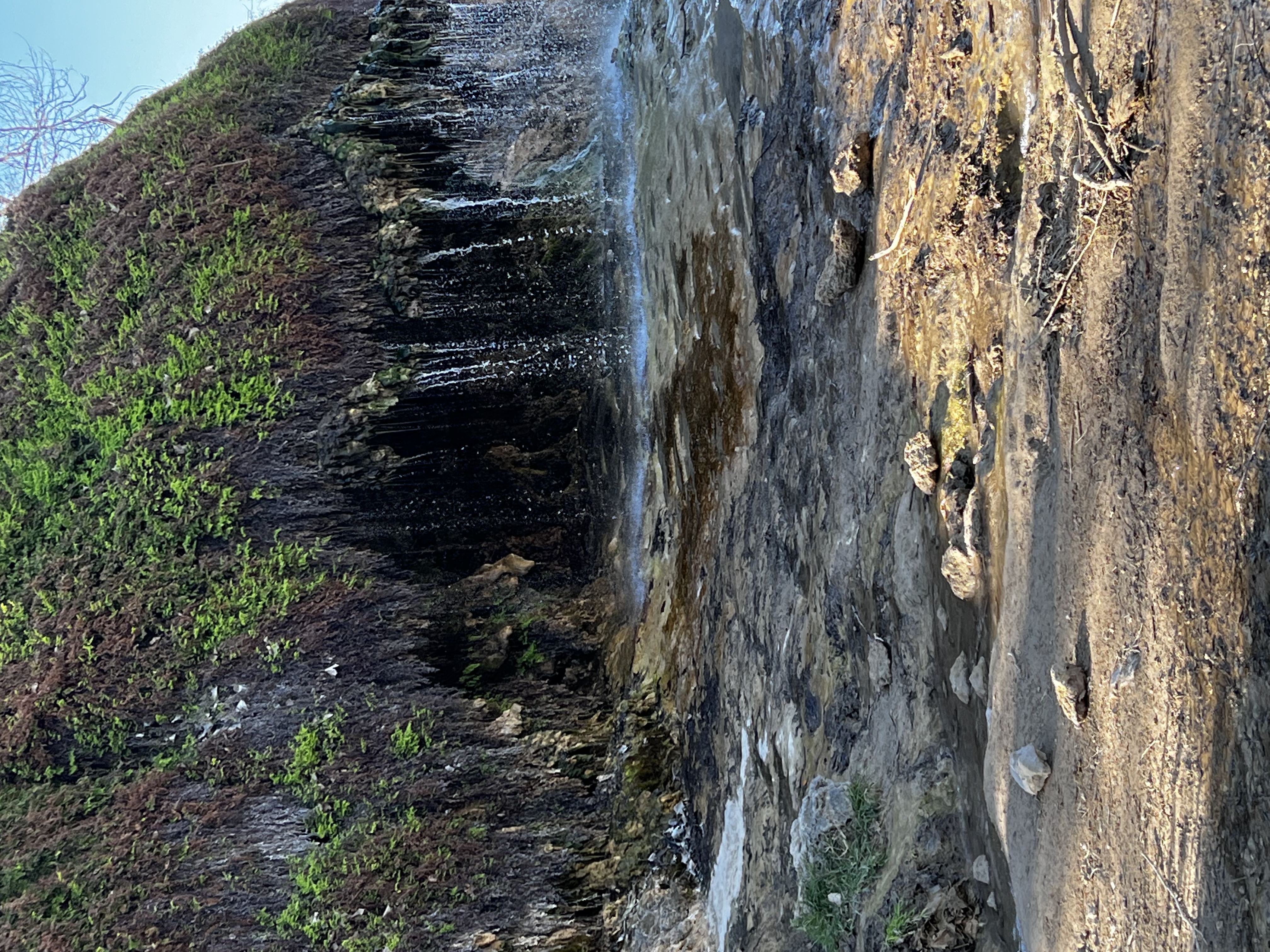 Crockett Gardens and Falls