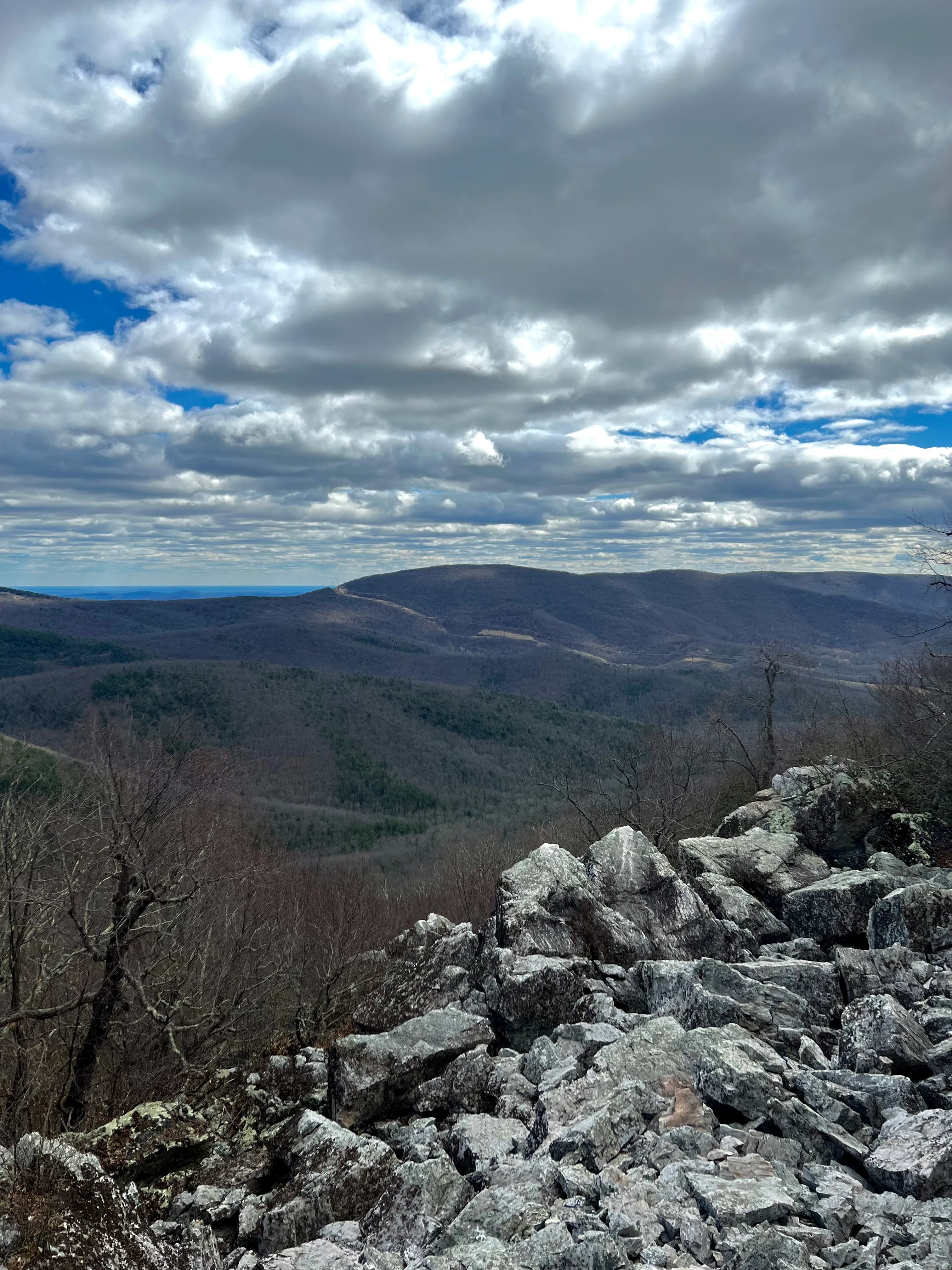 Hike Turk Mountain