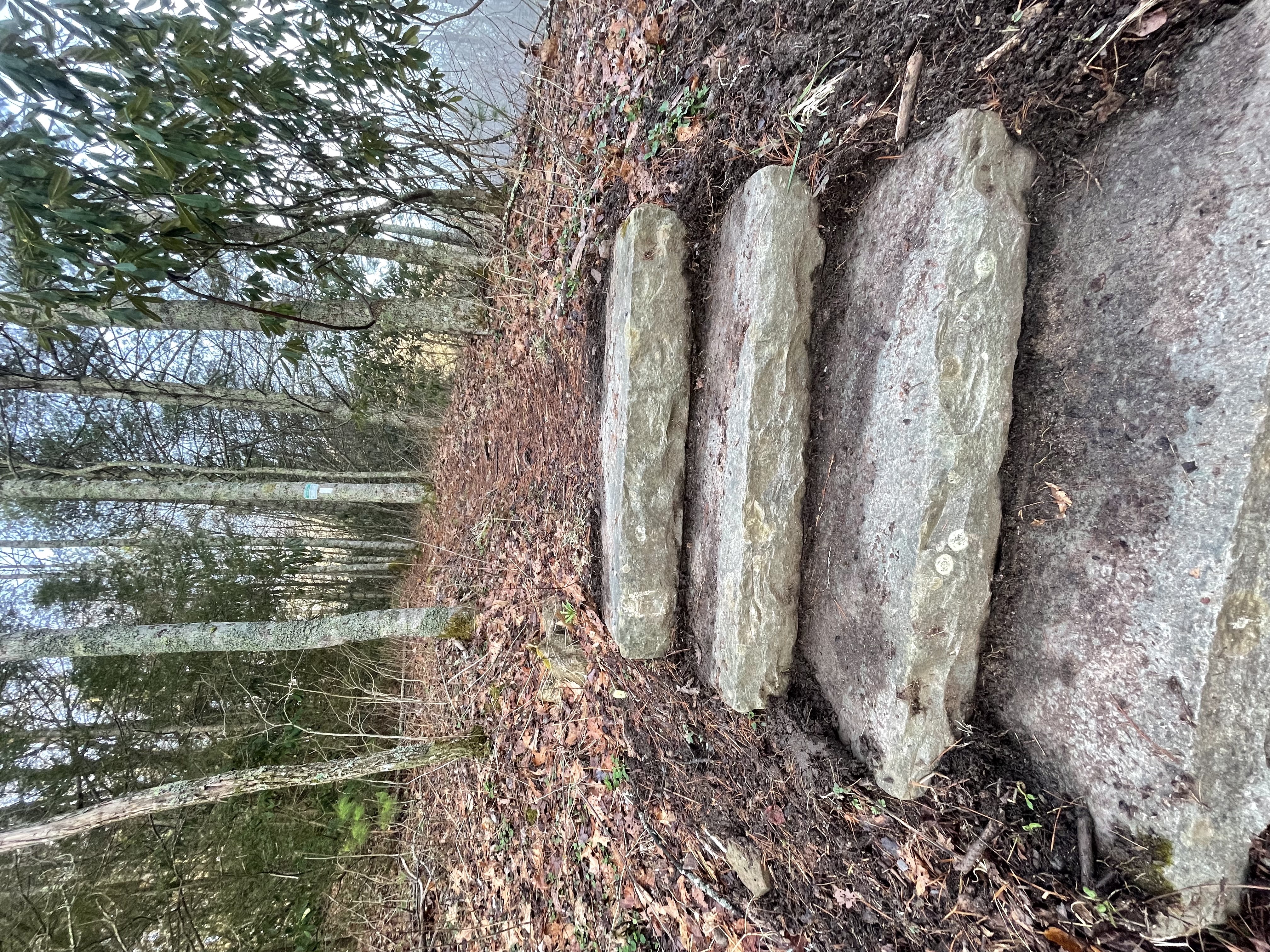 Appalachian Trail: Indian Grave Gap to Chestoa