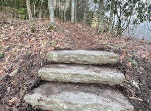 Appalachian Trail: Indian Grave Gap to Chestoa