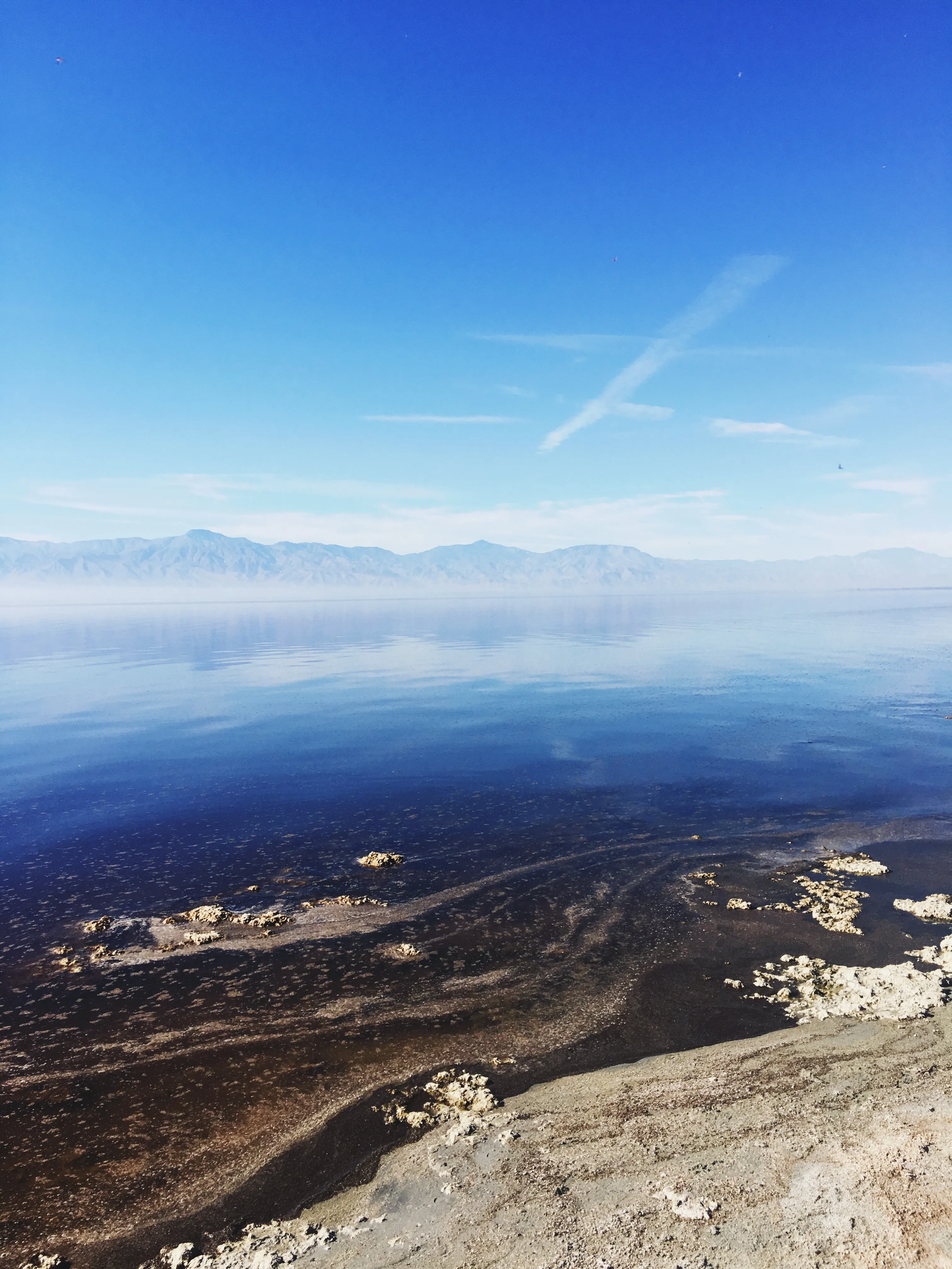 Exploring the Salton Sea