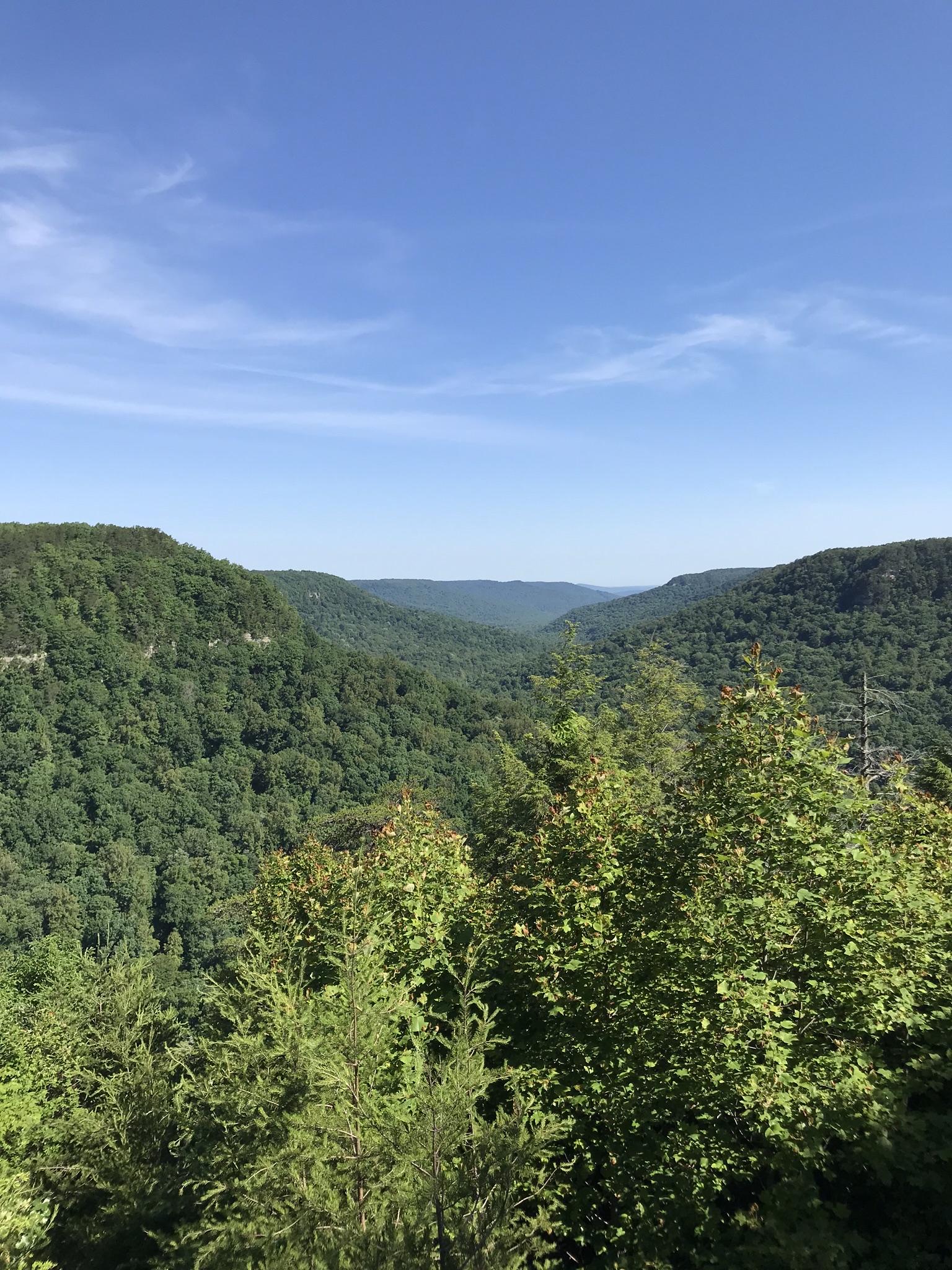 Gatlinburg Trail