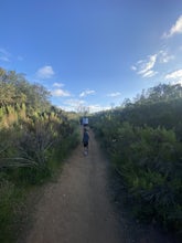 Visitor Center Loop Trail