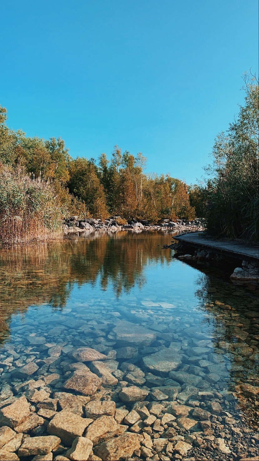 Fletcher Creek Ecological Preserve Loop, Puslinch, Ontario