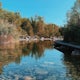 Fletcher Creek Ecological Preserve Loop