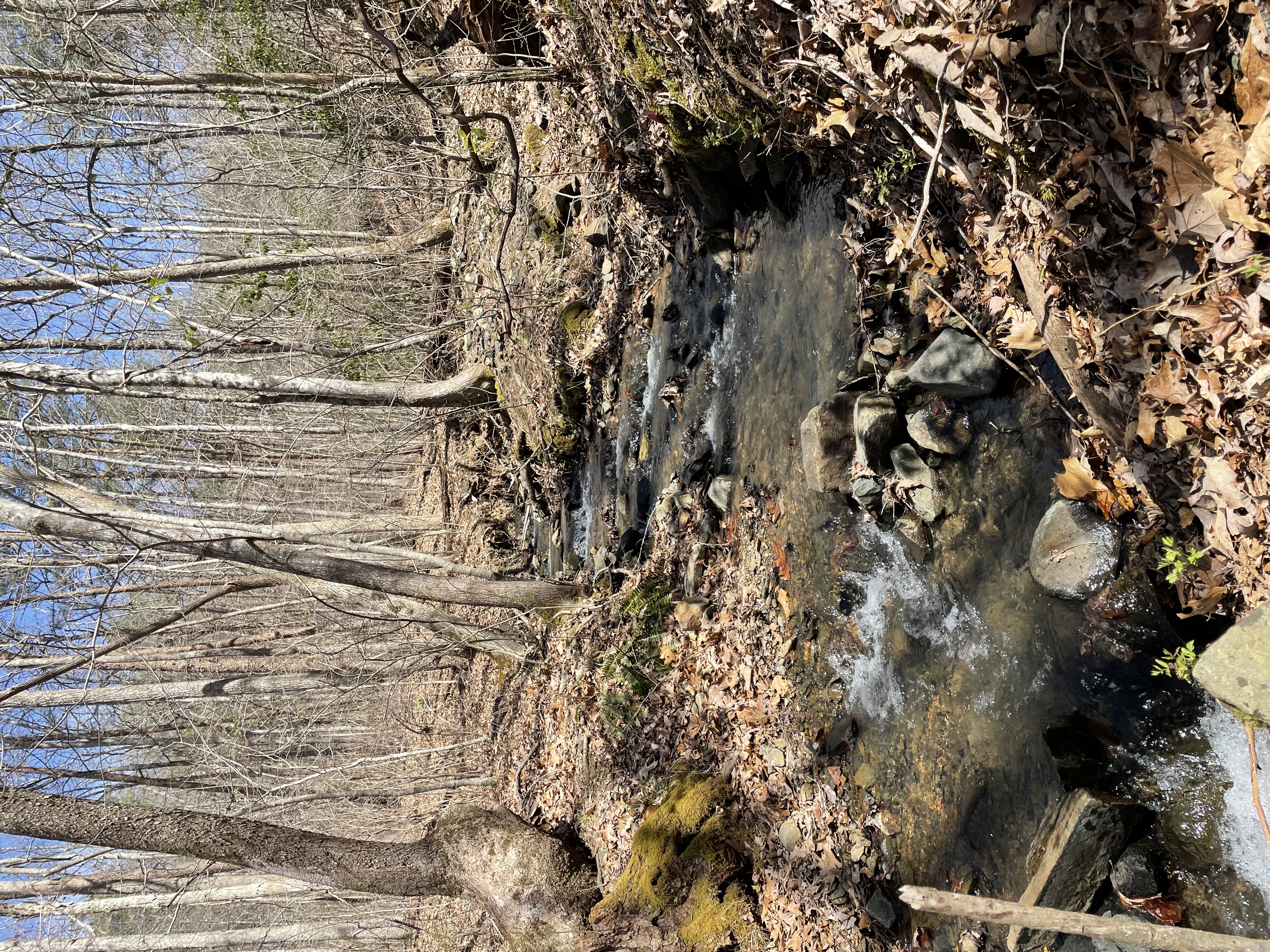 Hike the Miller Trek