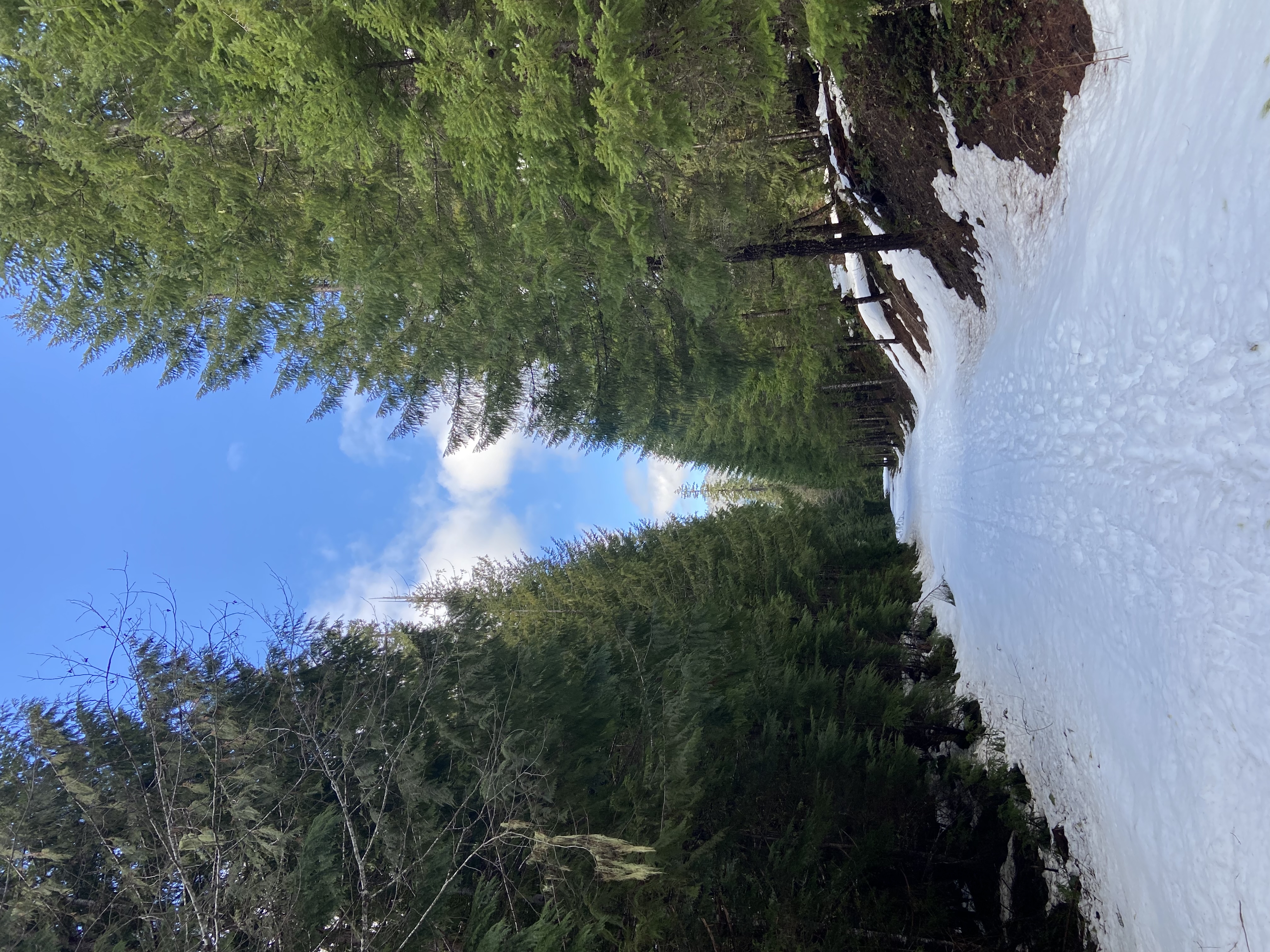 Pamelia Lake Trail, Idanha, Oregon