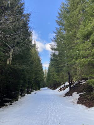 Pamelia Lake Trail