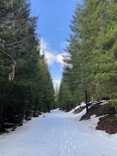 Pamelia Lake Trail