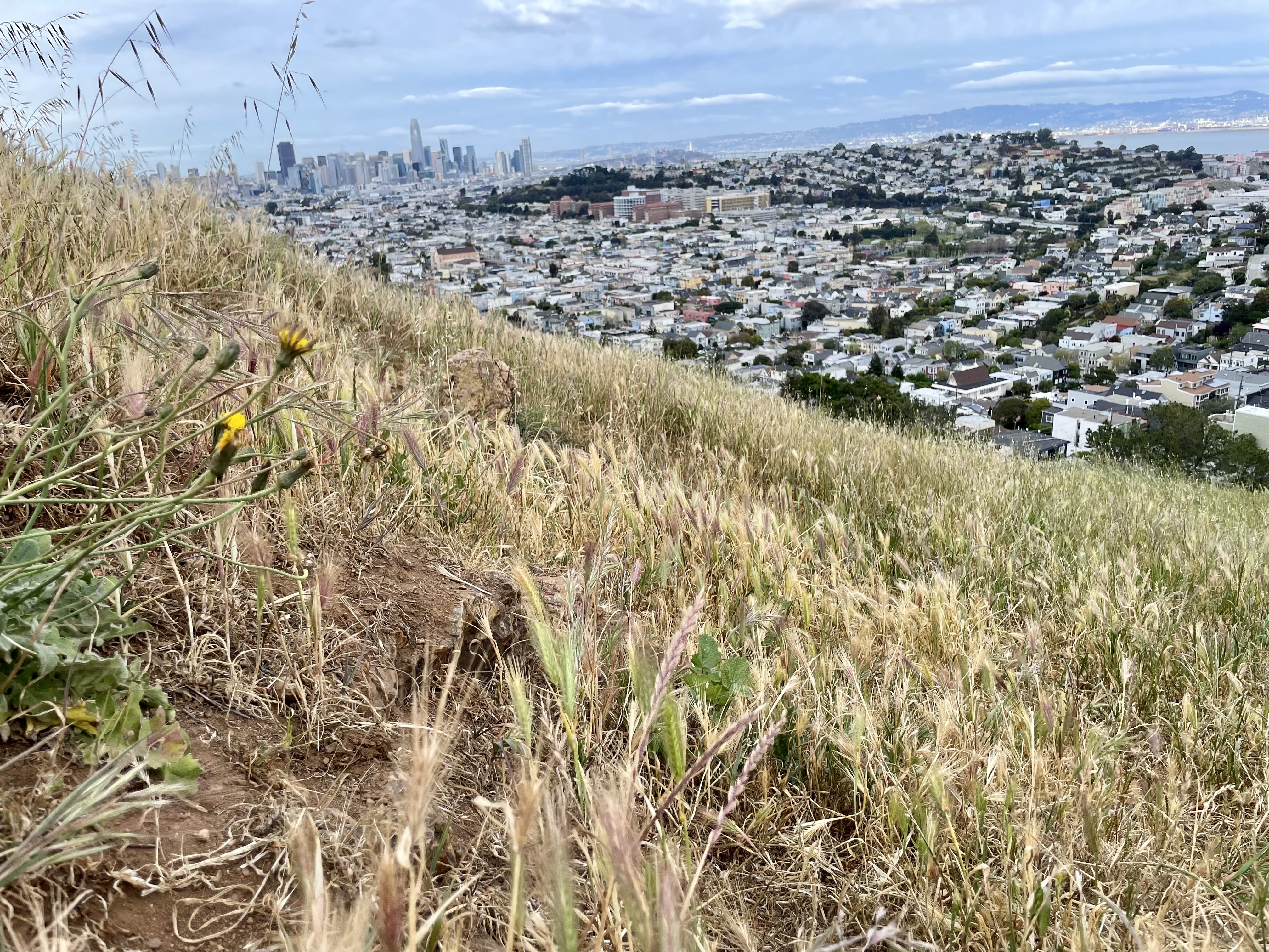 Bernal Heights Park