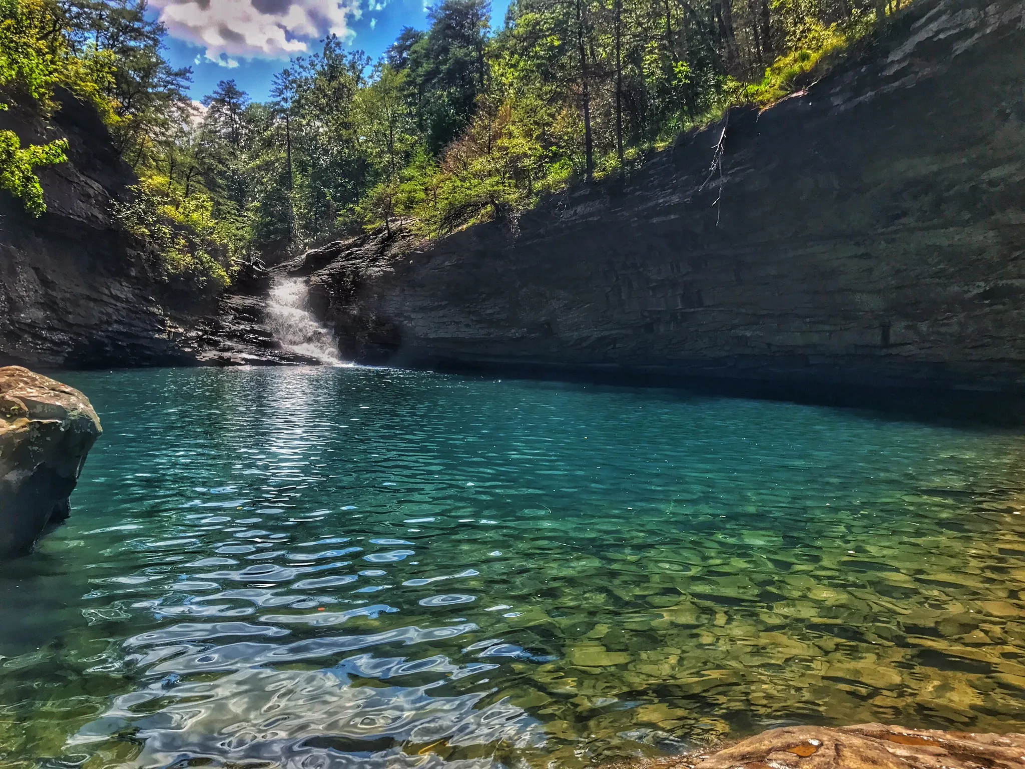 Lula Lake Land Trust