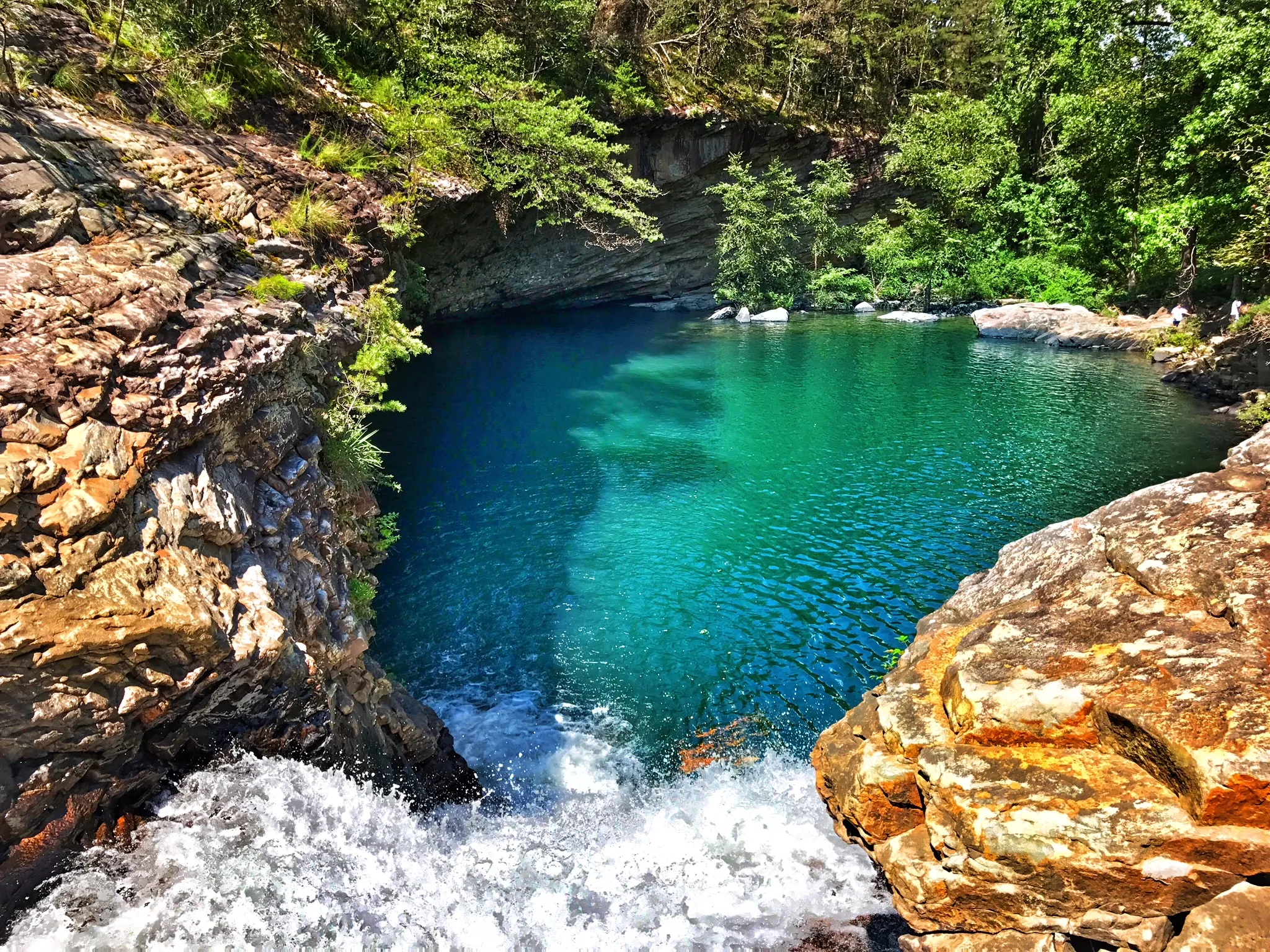 Lula Lake Land Trust