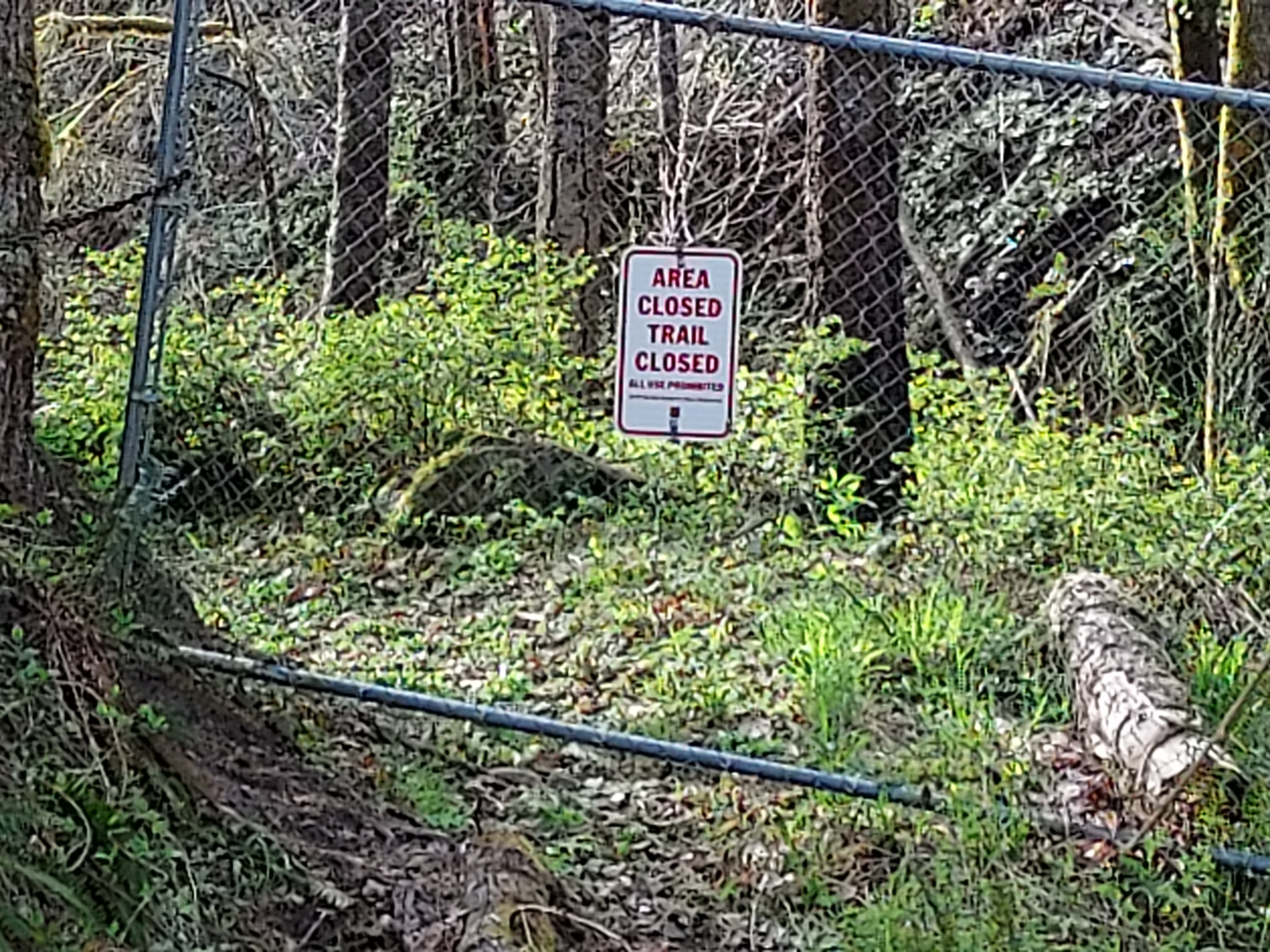 Hike to Mossy Grotto Falls