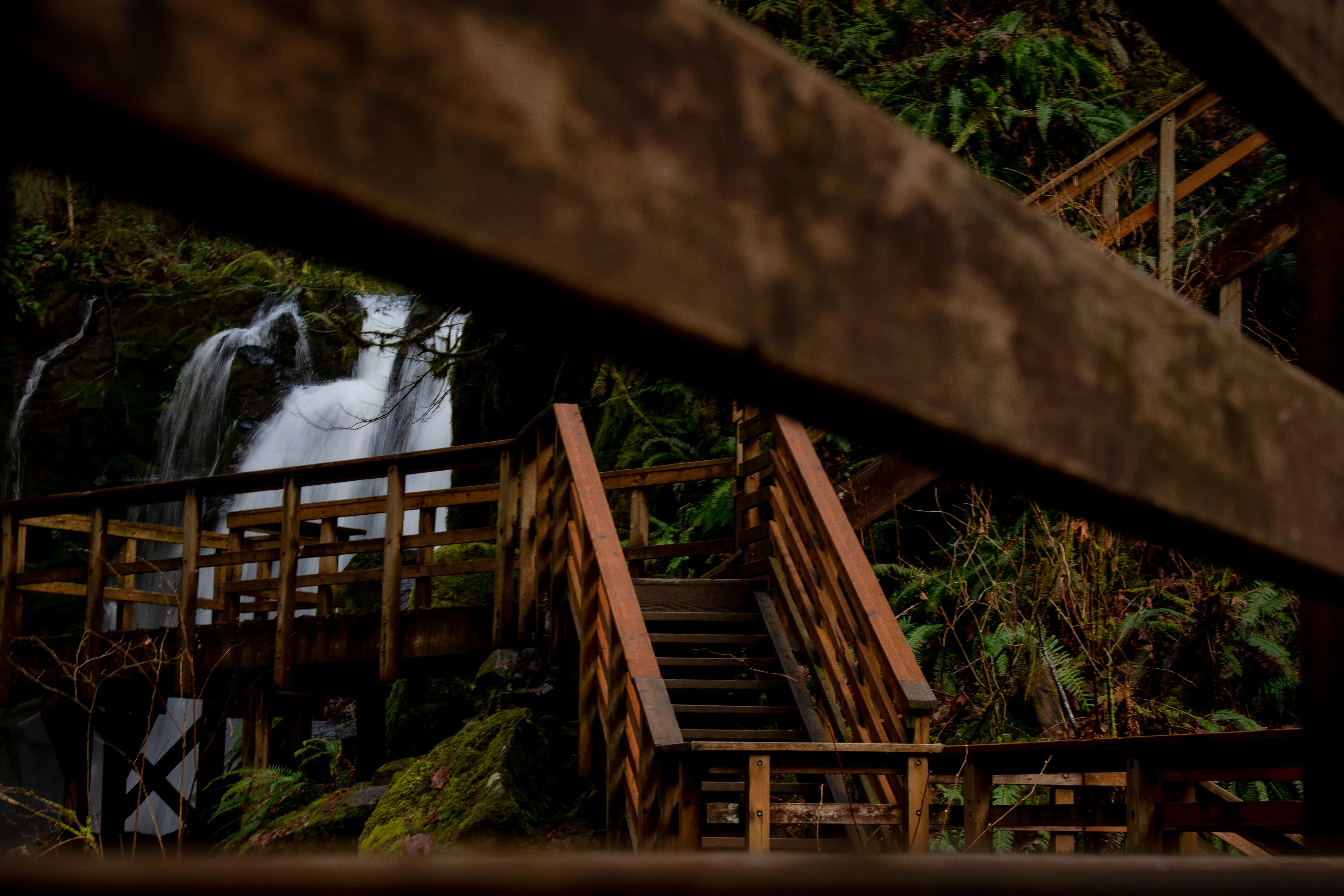 McDowell Creek County Park Loop