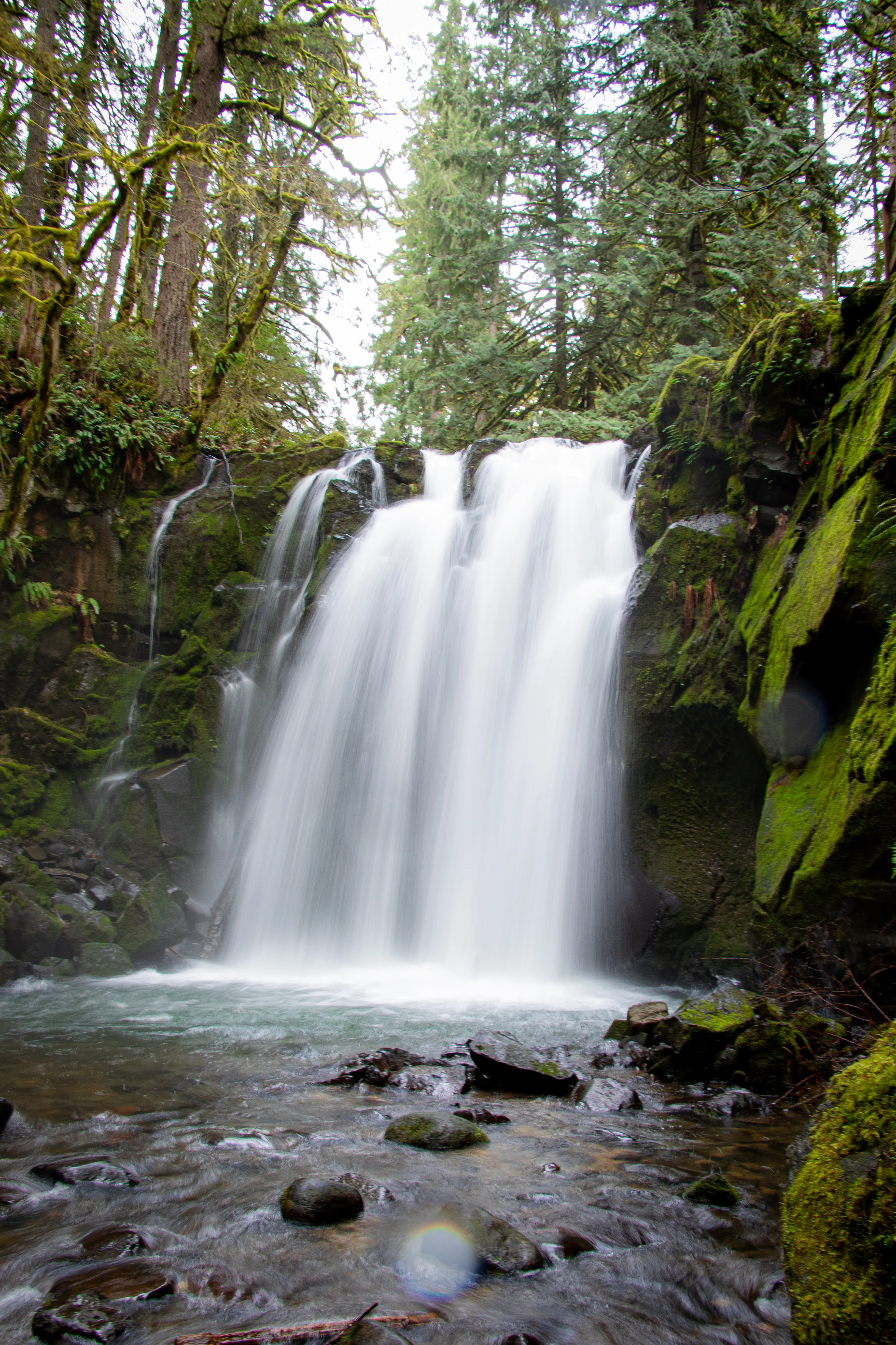 McDowell Creek County Park Loop