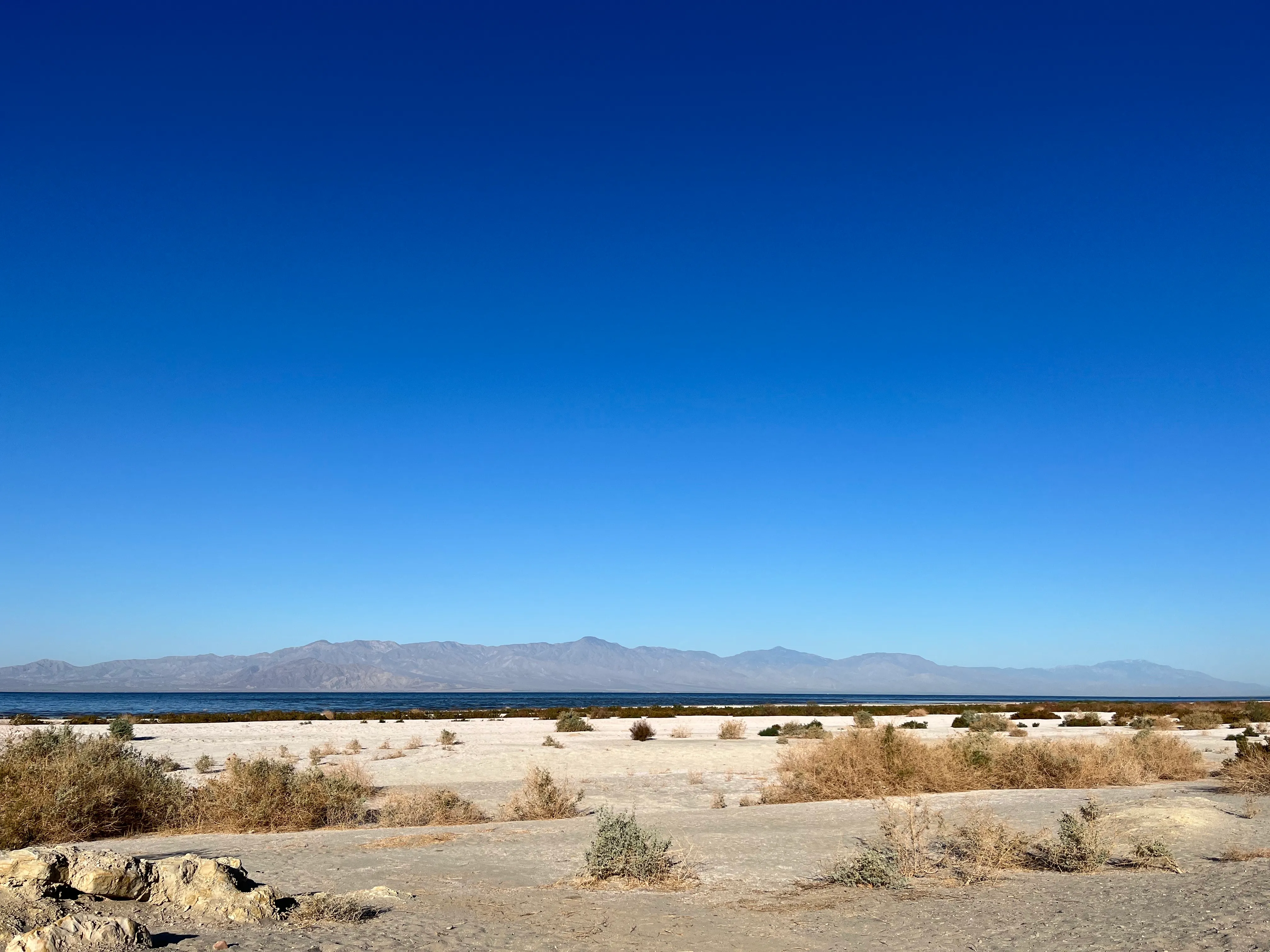 Exploring the Salton Sea