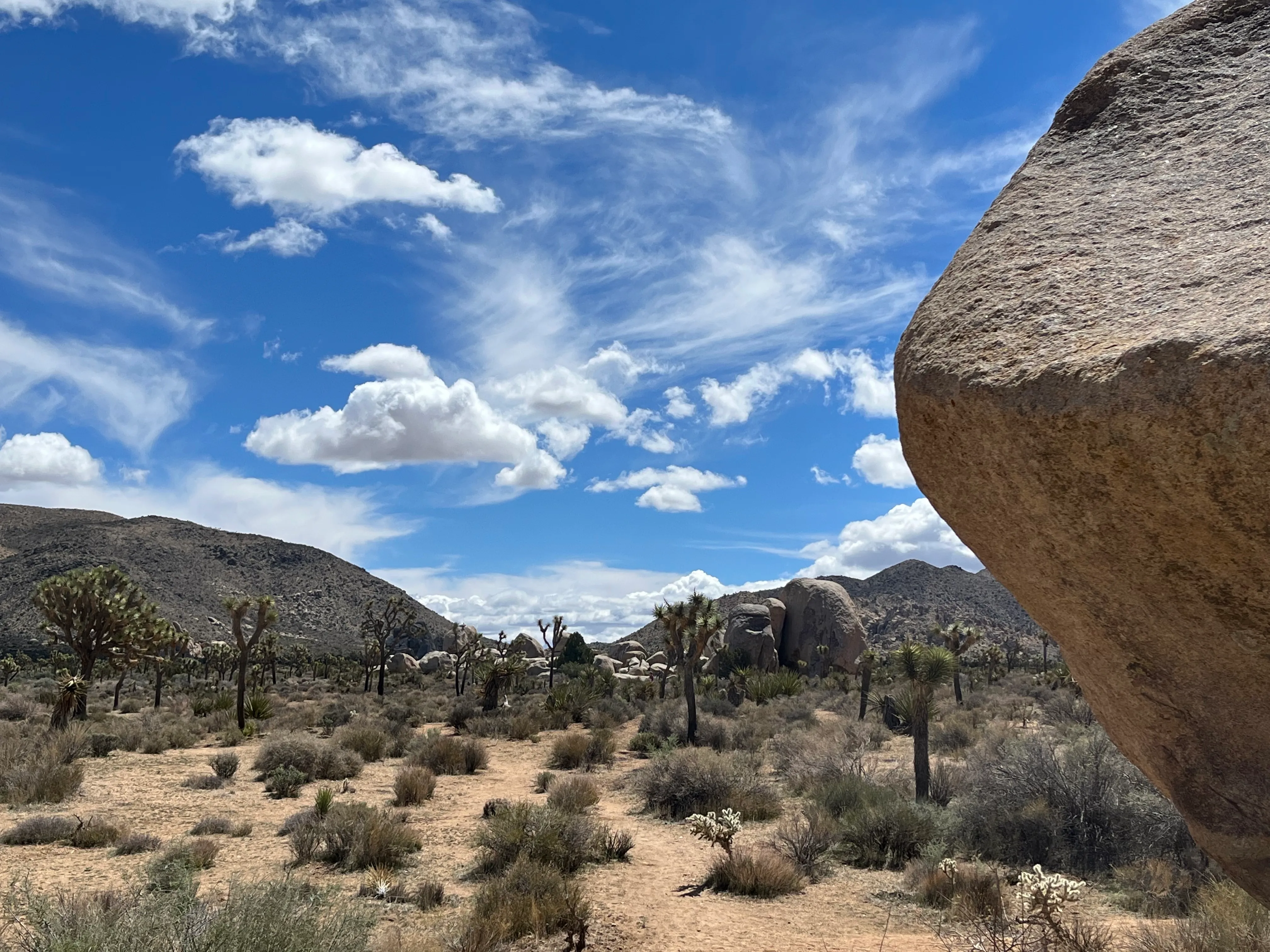 Cap Rock Nature Trail 