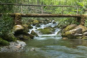 Appalachian Trail: Charlie's Bunion and Kephart Loop