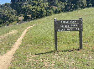 Eagle Rock Nature Trail