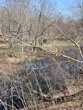 Island Lake Yellow Trail Loop